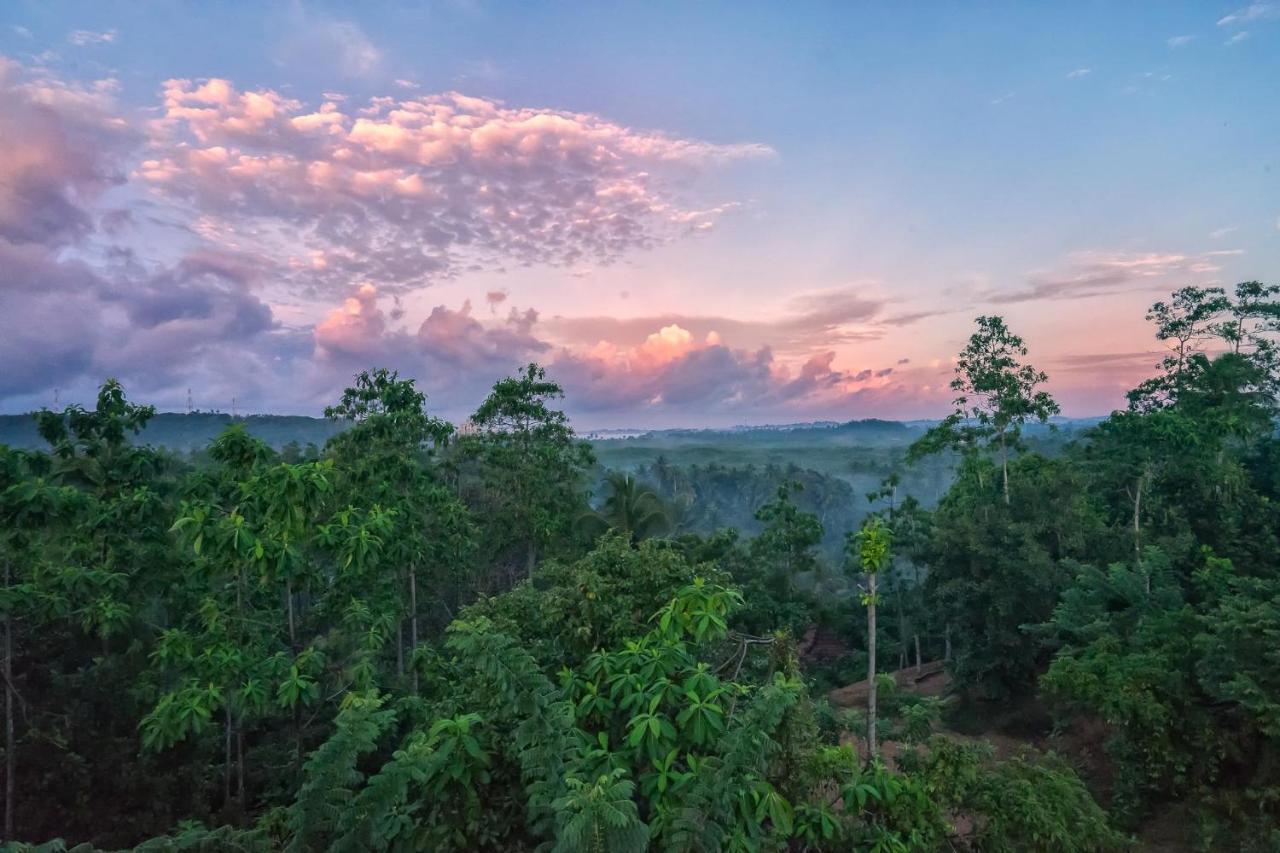 Villa Amma Erna - Галле Экстерьер фото